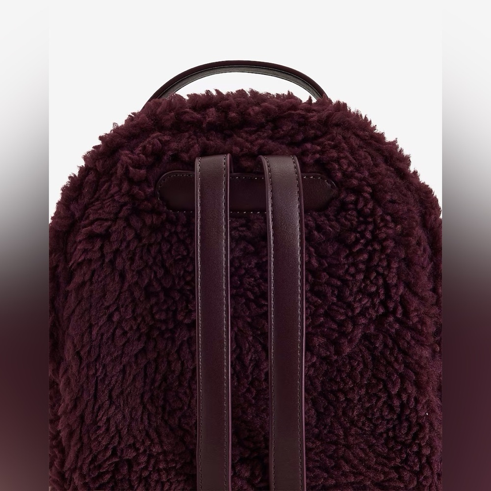 Express Teddy Mini Backpack - Picture 2 of 2